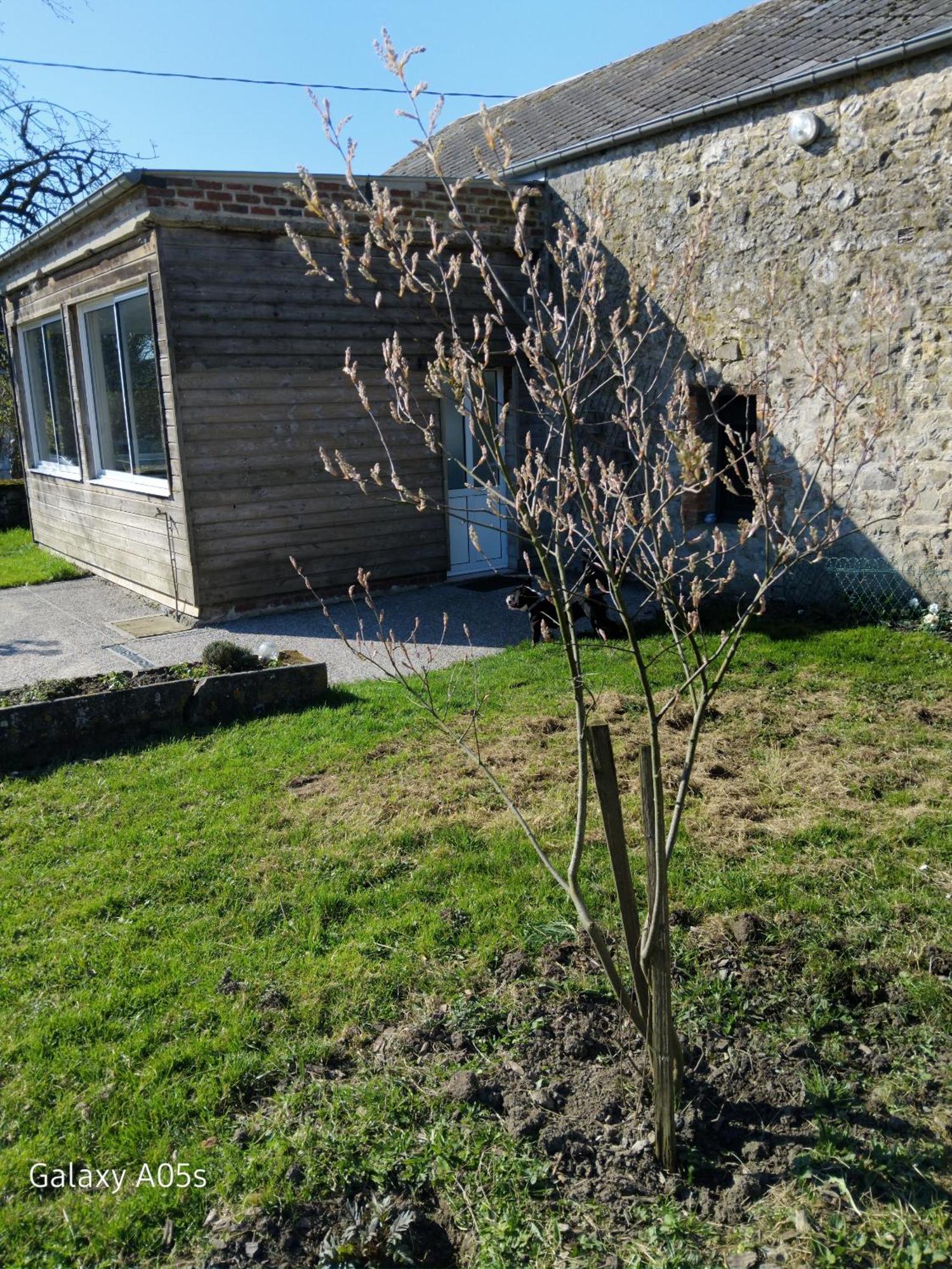 Charmante Maison Avec Cheminee, Grand Jardin Et Boxe Chevaux Saint-Hilaire-sur-Helpe Exterior foto